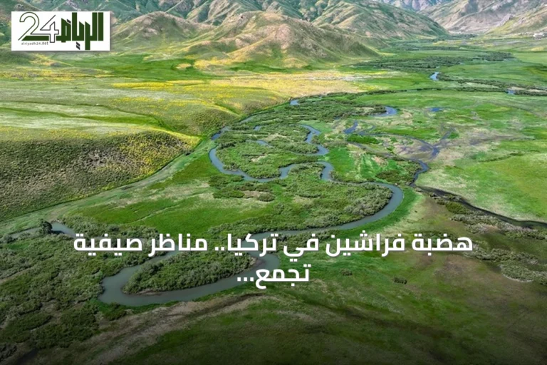 هضبة فراشين في تركيا.. مناظر صيفية تجمع الثلوج والمراعي الخضراء