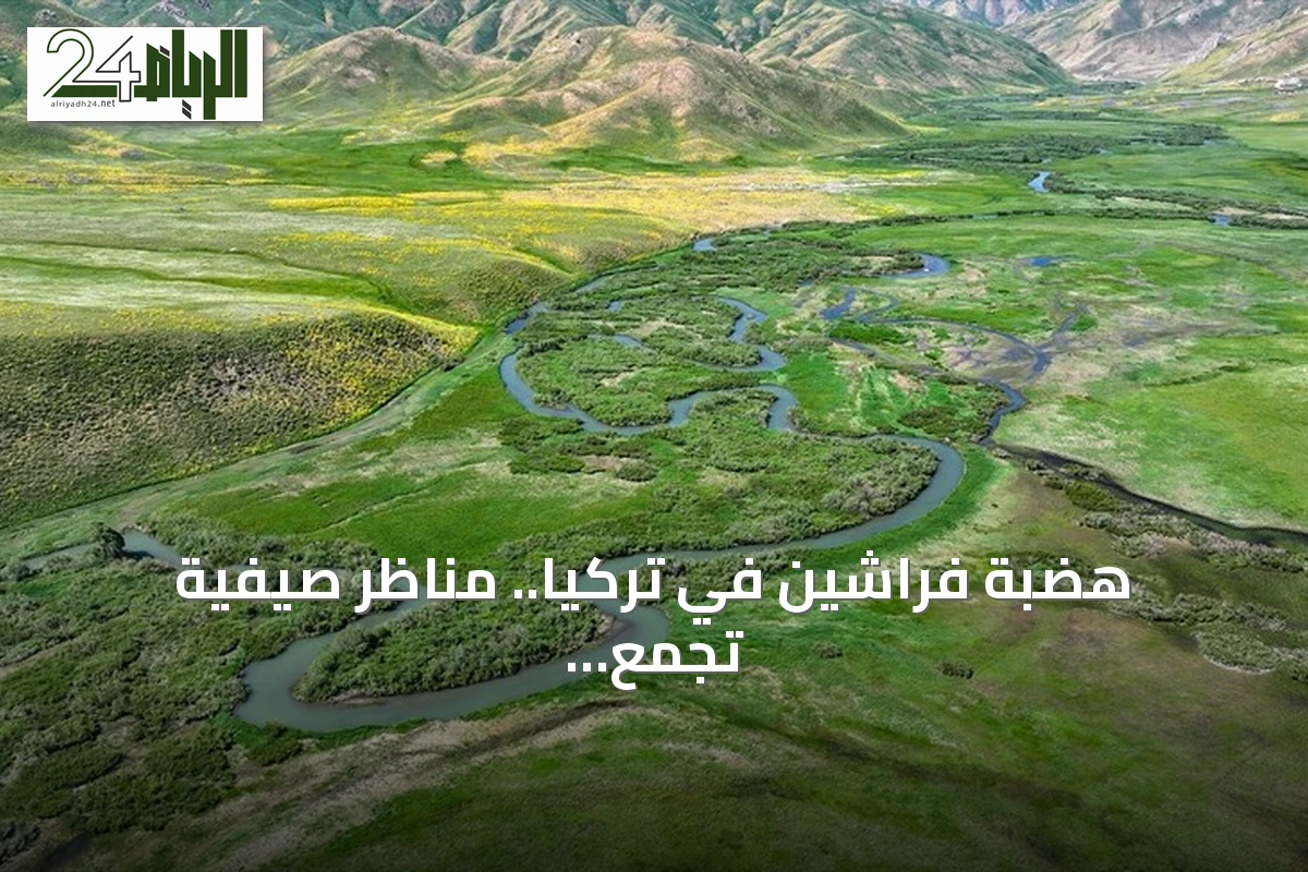 هضبة فراشين في تركيا.. مناظر صيفية تجمع الثلوج والمراعي الخضراء