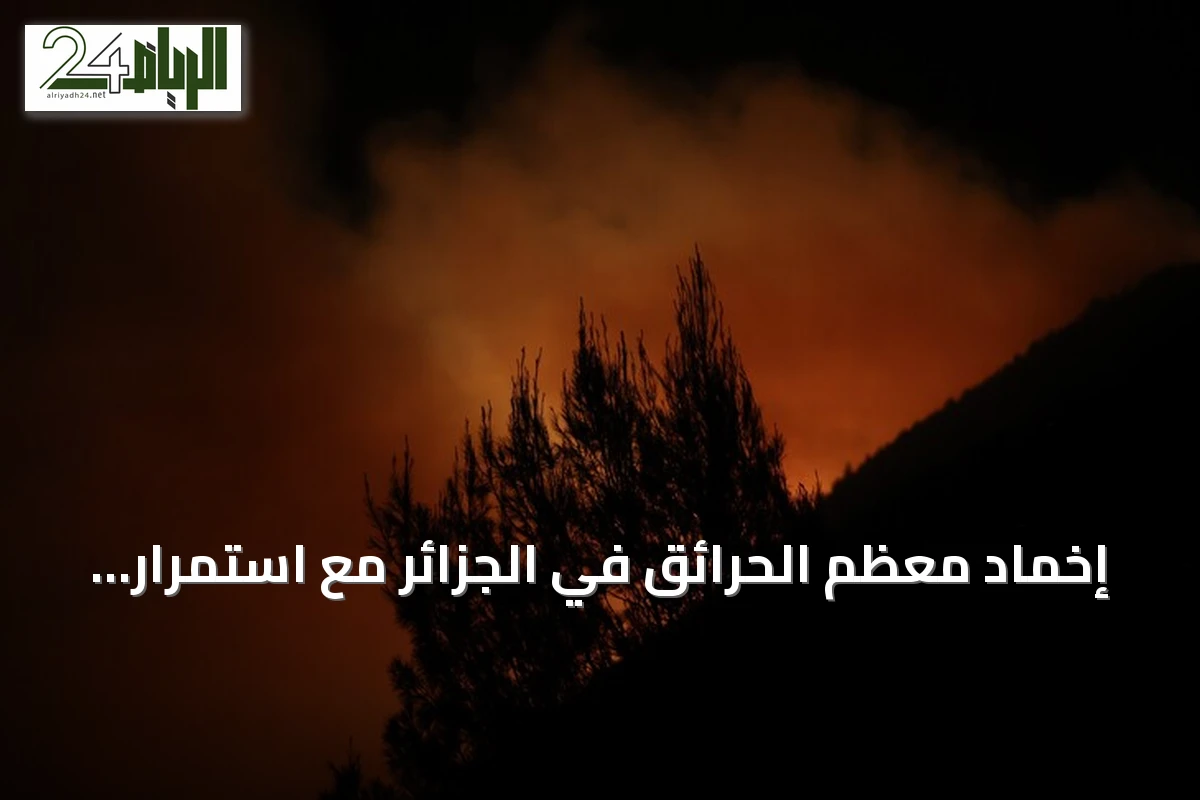 إخماد معظم الحرائق في الجزائر مع استمرار الجهود لمواجهة الخسائر