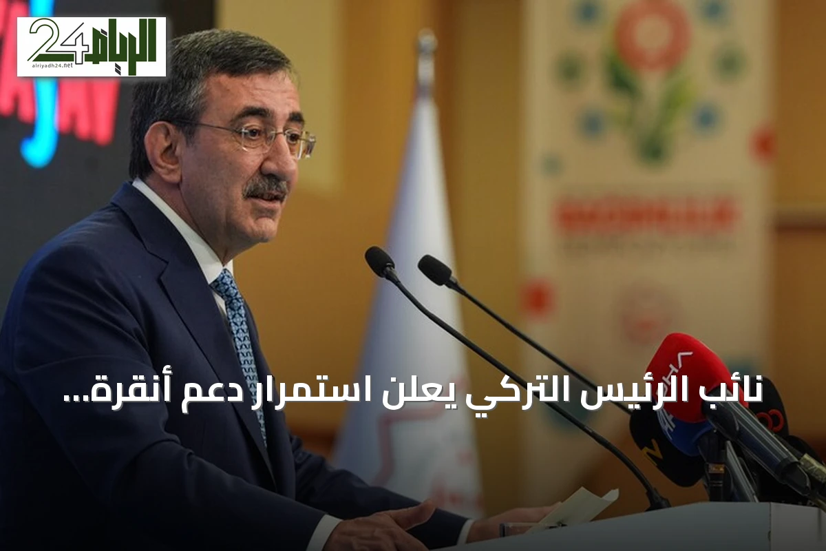 نائب الرئيس التركي يعلن استمرار دعم أنقرة لجمهورية شمال قبرص التركية