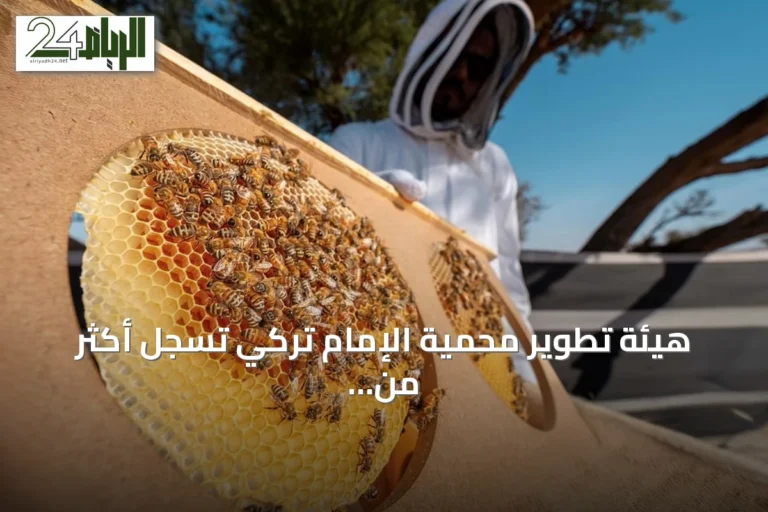 هيئة تطوير محمية الإمام تركي تسجل أكثر من 11 ألف خلية نحل في موسمي الطلح والسدر