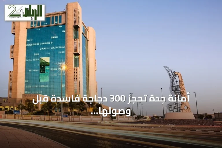 أمانة جدة تحجز 300 دجاجة فاسدة قبل وصولها إلى الأسواق