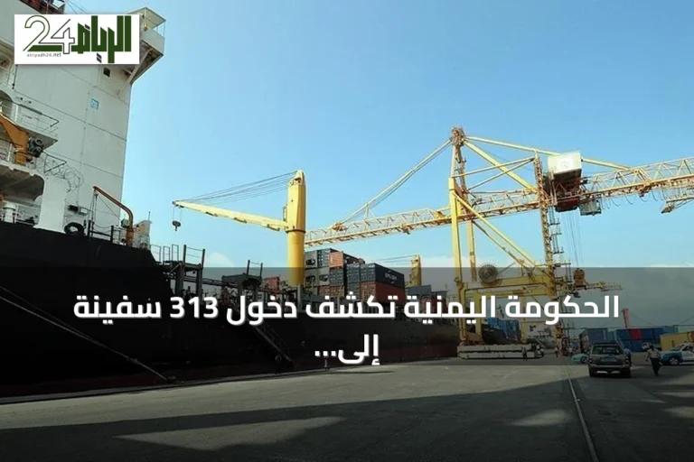 الحكومة اليمنية تكشف دخول 313 سفينة إلى موانئ تحت سيطرة الحوثي منذ بداية 2026