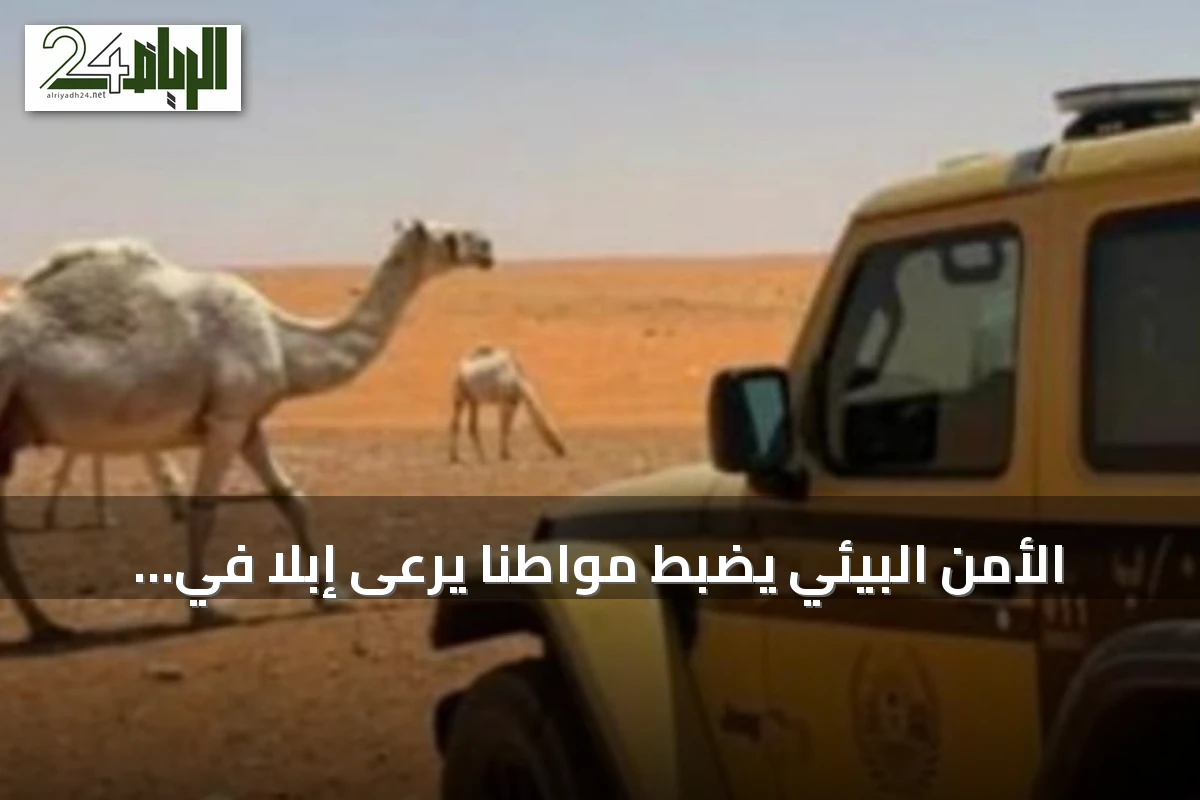 الأمن البيئي يضبط مواطنًا يرعى إبلًا في منطقة محظورة بمحمية الإمام تركي بن Abdullah
