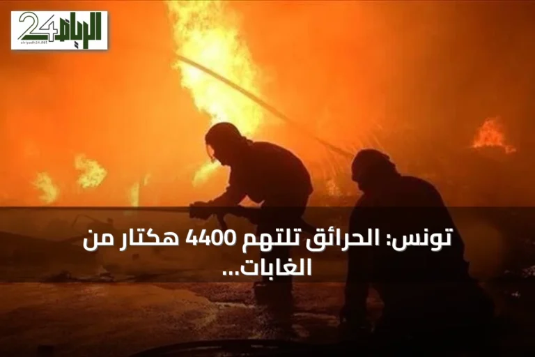 تونس: الحرائق تلتهم 4400 هكتار من الغابات منذ مايو