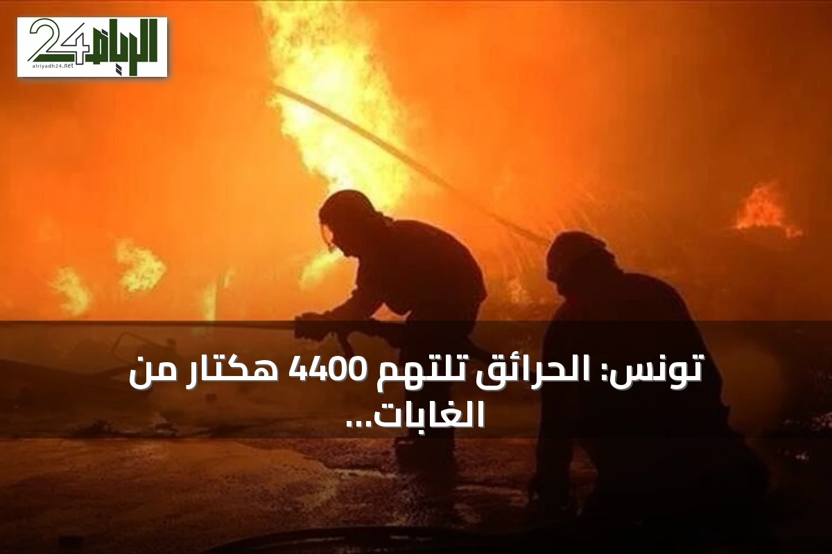 تونس: الحرائق تلتهم 4400 هكتار من الغابات منذ مايو