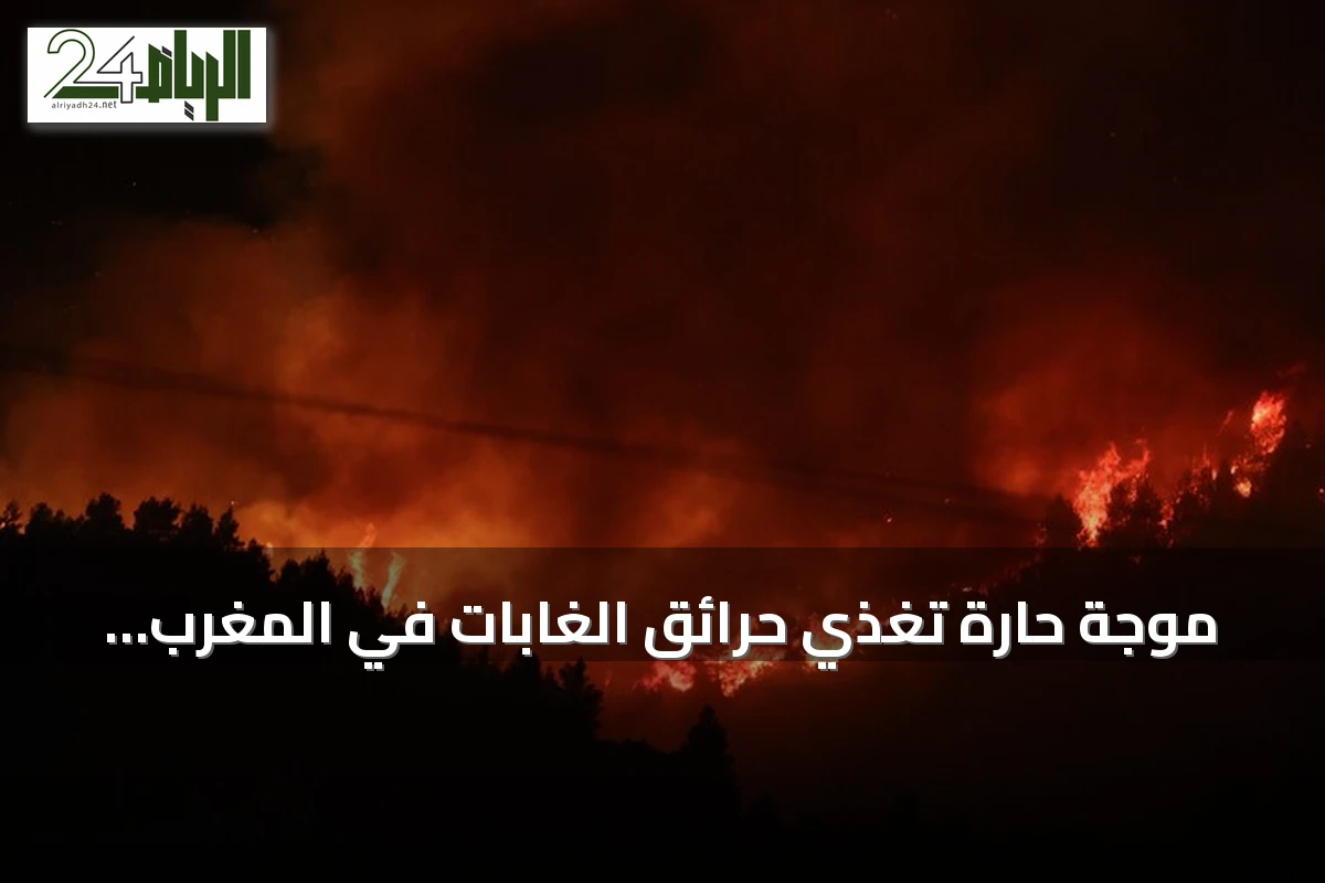 موجة حارة تغذي حرائق الغابات في المغرب والجزائر وتونس وسط دعوات لتدابير عاجلة