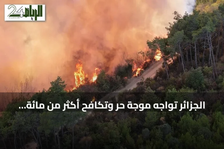 الجزائر تواجه موجة حر وتكافح أكثر من مائة حريق في يوم واحد