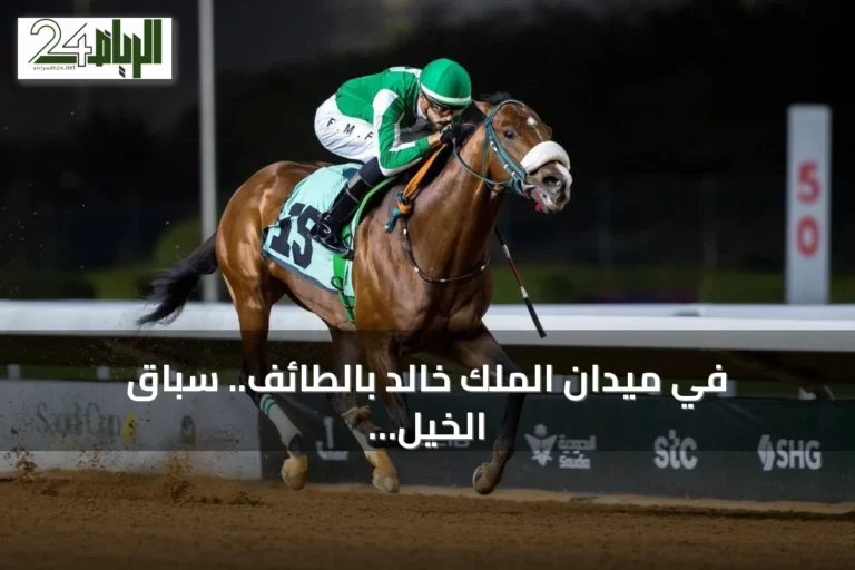في ميدان الملك خالد بالطائف.. سباق الخيل العربية يروي إرثاً يمتد عبر القرون