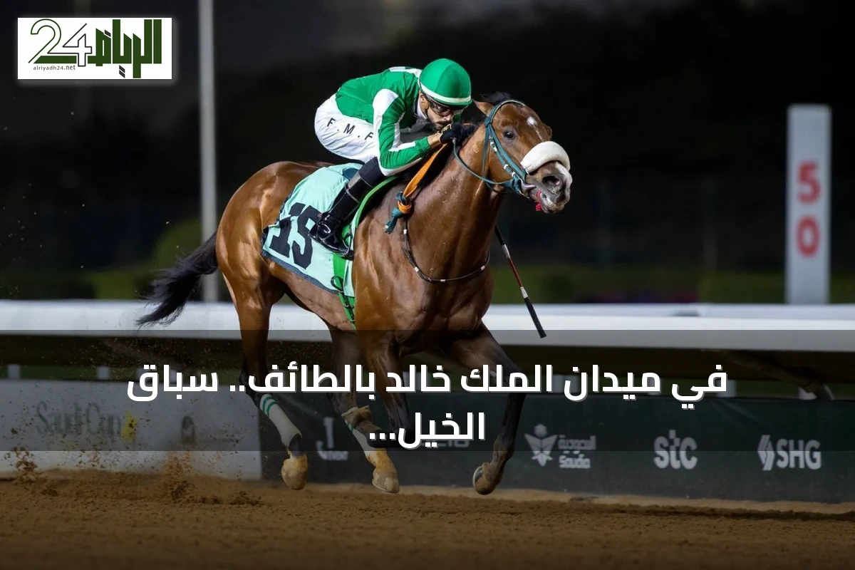في ميدان الملك خالد بالطائف.. سباق الخيل العربية يروي إرثاً يمتد عبر القرون