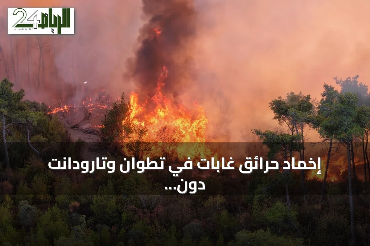 إخماد حرائق غابات في تطوان وتارودانت دون خسائر بشرية