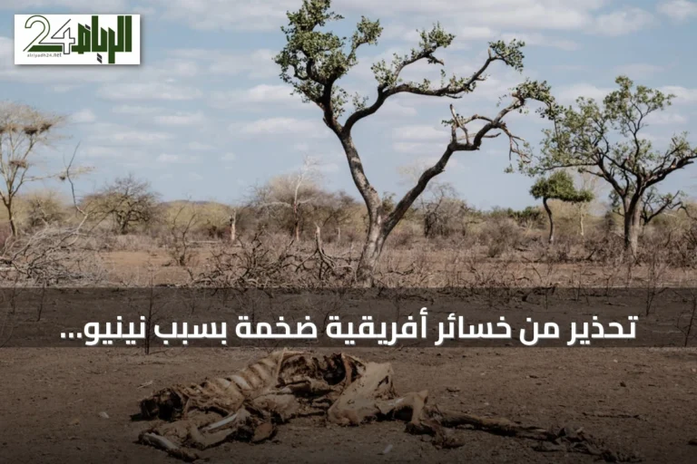 تحذير من خسائر أفريقية ضخمة بسبب نينيو خارق قد تصل إلى 20 مليار دولار