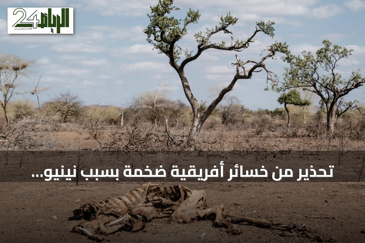 تحذير من خسائر أفريقية ضخمة بسبب نينيو خارق قد تصل إلى 20 مليار دولار