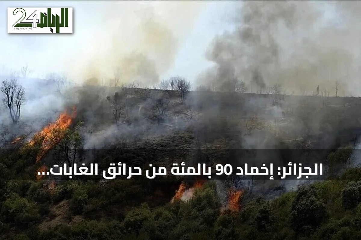 الجزائر: إخماد 90 بالمئة من حرائق الغابات مع تراجع درجات الحرارة بعد موجة حر استثنائية
