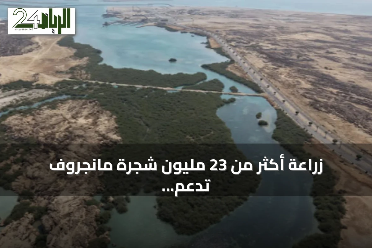 زراعة أكثر من 23 مليون شجرة مانجروف تدعم استدامة السواحل في جازان