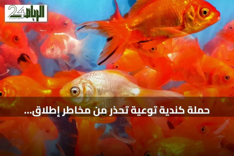 حملة كندية توعية تحذر من مخاطر إطلاق الأسماك الذهبية في المياه العذبة