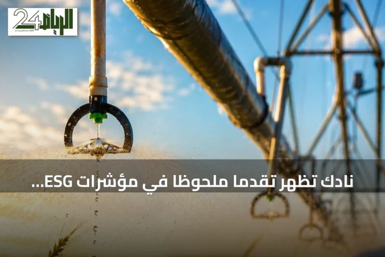 نادك تُظهر تقدمًا ملحوظًا في مؤشرات ESG خلال 2025