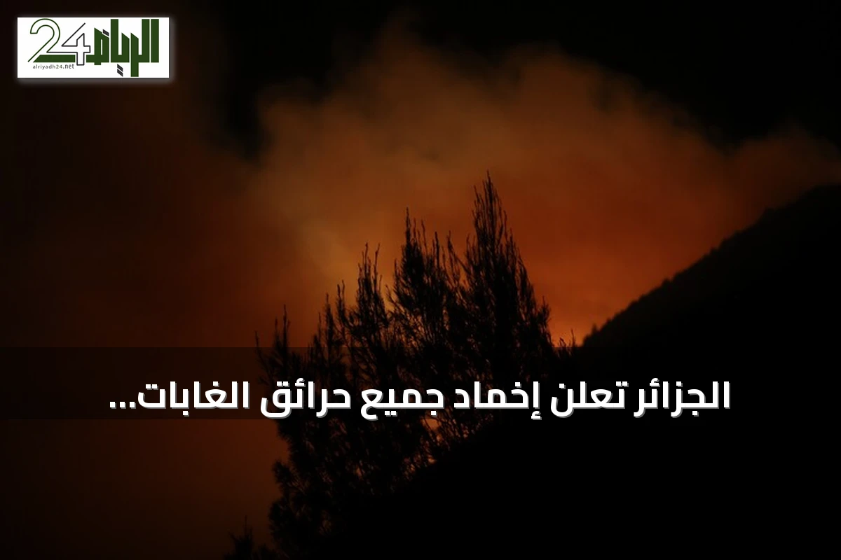 الجزائر تعلن إخماد جميع حرائق الغابات وتحافظ على جاهزية فرق التدخل
