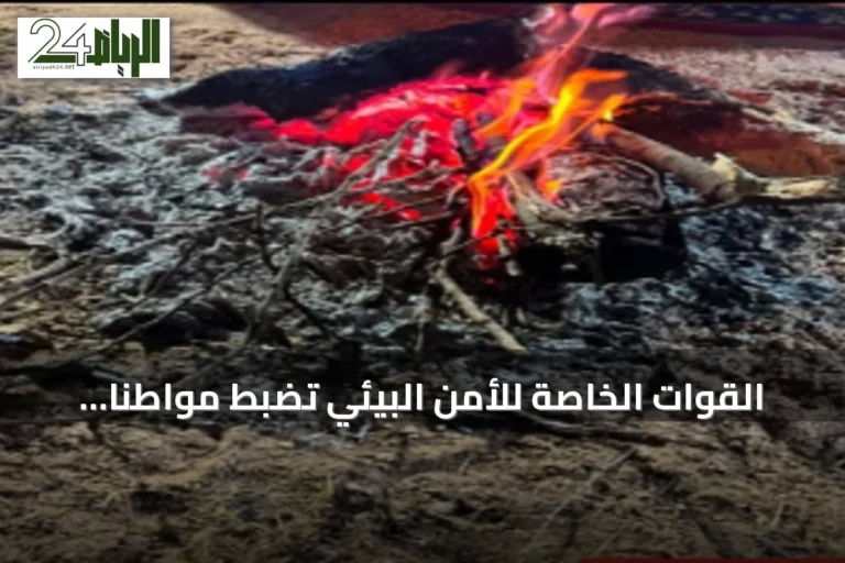 القوات الخاصة للأمن البيئي تضبط مواطنًا أشعل النار في مواقع غير مرخص لها بعسير