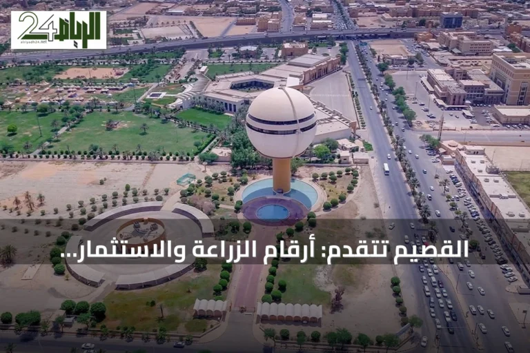 القصيم تتقدم: أرقام الزراعة والاستثمار والنقل تعكس رؤية 2030