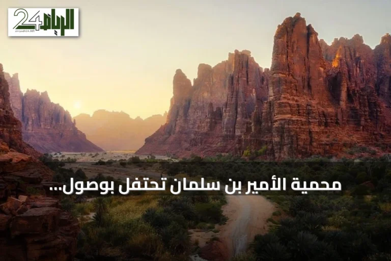 محمية الأمير بن سلمان تحتفل بوصول دورياتها البيئية إلى 50 ألفًا