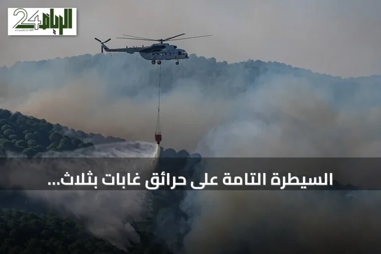 السيطرة التامة على حرائق غابات بثلاث ولايات تركية