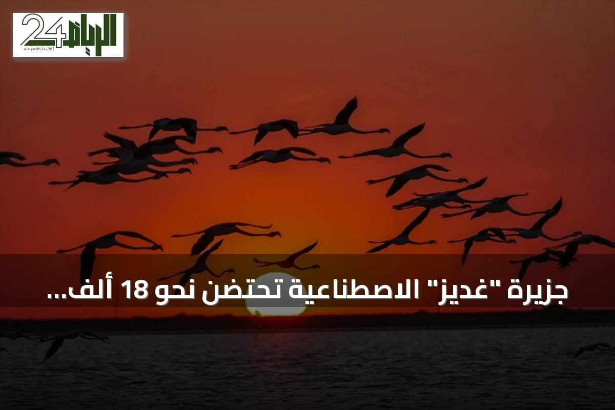 جزيرة "غديز" الاصطناعية تحتضن نحو 18 ألف فرخ فلامنغو في إزمير
