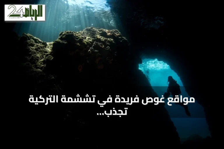 مواقع غوص فريدة في تششمة التركية تجذب هواة الاستكشاف البحري