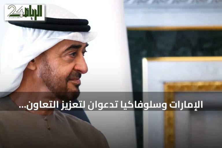 الإمارات وسلوفاكيا تدعوان لتعزيز التعاون وضمان أمن الملاحة في مضيق هرمز