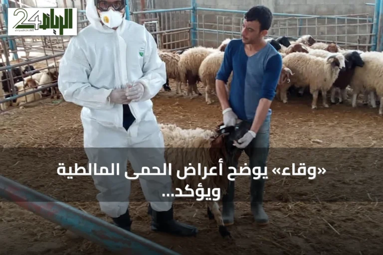 «وقاء» يوضح أعراض الحمى المالطية ويؤكد على أهمية التحصين والإبلاغ