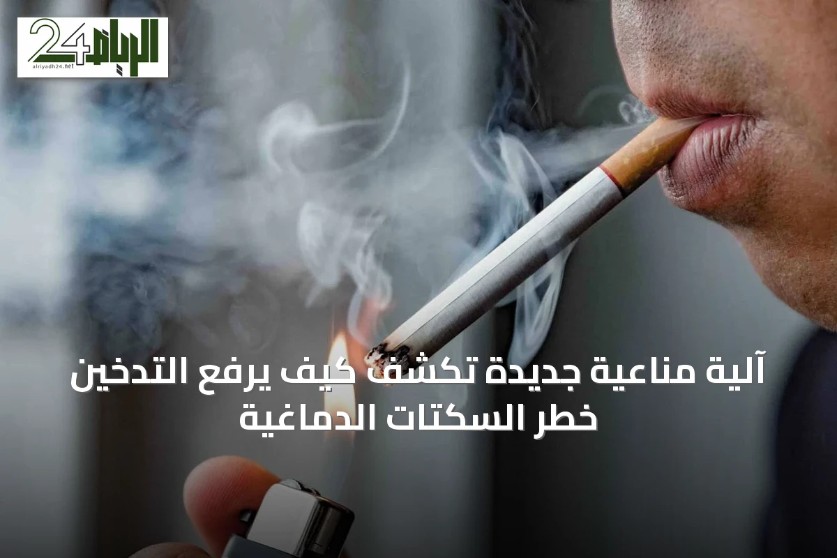 آلية مناعية جديدة تكشف كيف يرفع التدخين خطر السكتات الدماغية