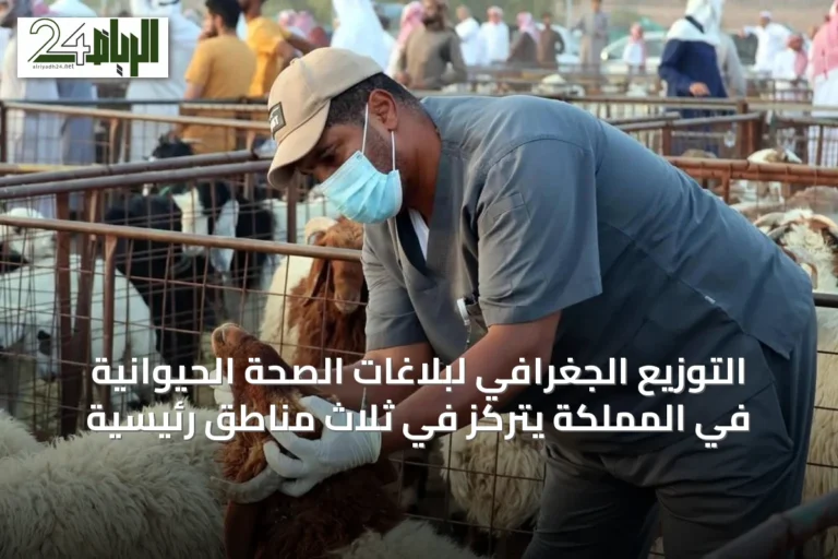 التوزيع الجغرافي لبلاغات الصحة الحيوانية في المملكة يتركز في ثلاث مناطق رئيسية