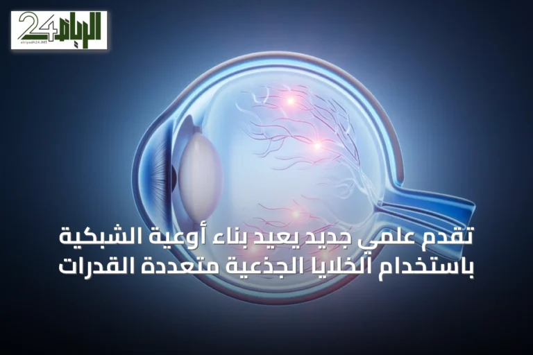 تقدم علمي جديد يُعيد بناء أوعية الشبكية باستخدام الخلايا الجذعية متعددة القدرات