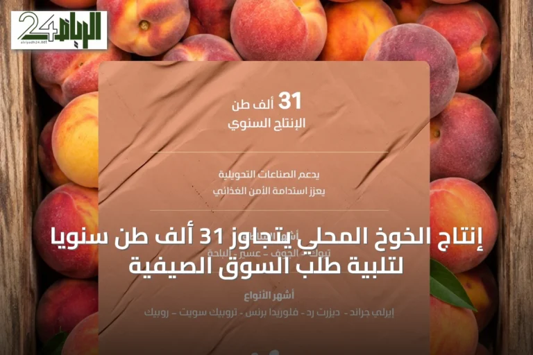 إنتاج الخوخ المحلي يتجاوز 31 ألف طن سنويًا لتلبية طلب السوق الصيفية