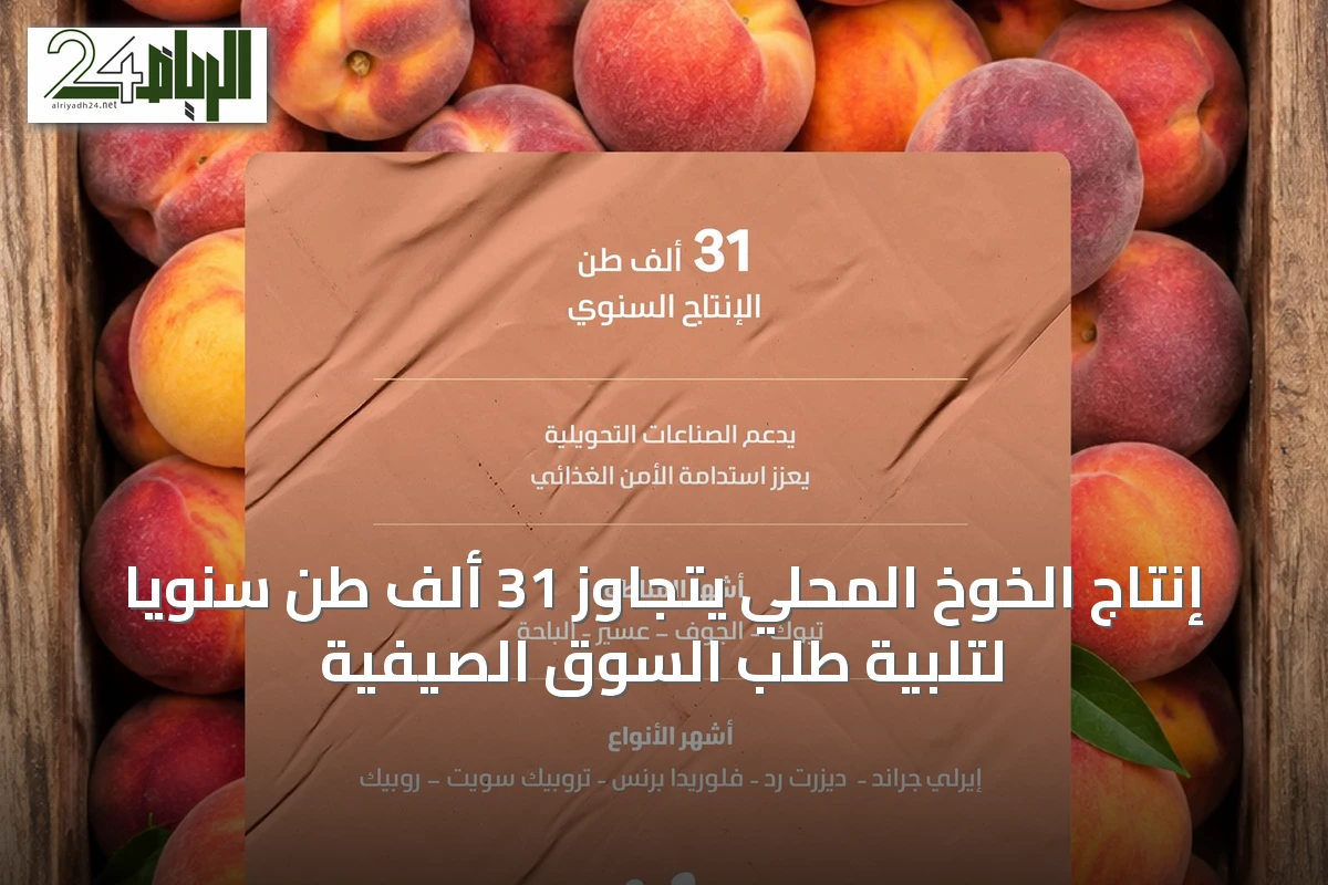 إنتاج الخوخ المحلي يتجاوز 31 ألف طن سنويًا لتلبية طلب السوق الصيفية