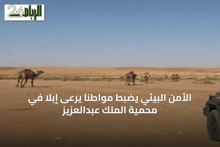 الأمن البيئي يضبط مواطناً يرعى إبلاً في محمية الملك عبدالعزيز