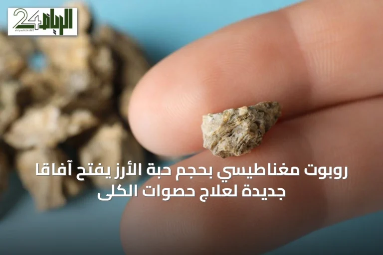روبوت مغناطيسي بحجم حبة الأرز يفتح آفاقًا جديدة لعلاج حصوات الكلى