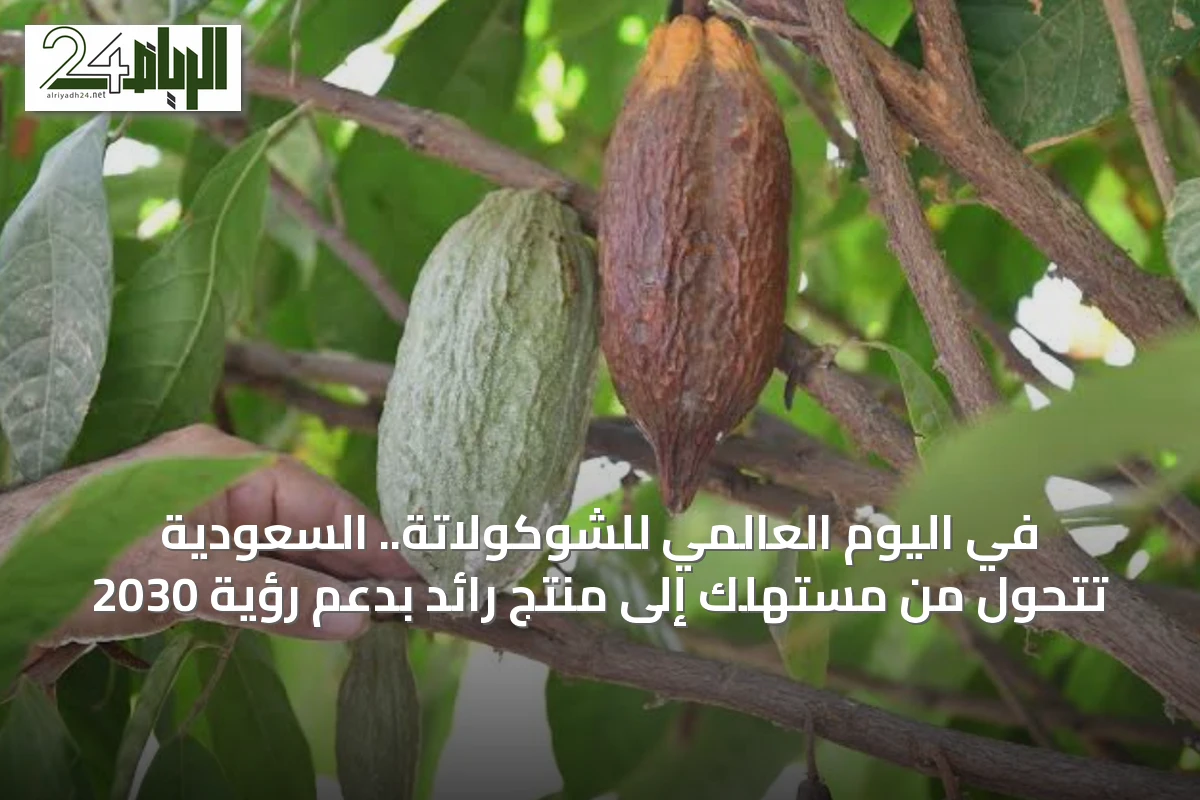في اليوم العالمي للشوكولاتة.. السعودية تتحول من مستهلك إلى منتج رائد بدعم رؤية 2030