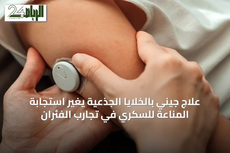 علاج جيني بالخلايا الجذعية يغيّر استجابة المناعة للسكري في تجارب الفئران