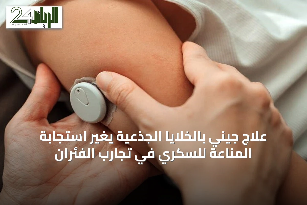 علاج جيني بالخلايا الجذعية يغيّر استجابة المناعة للسكري في تجارب الفئران