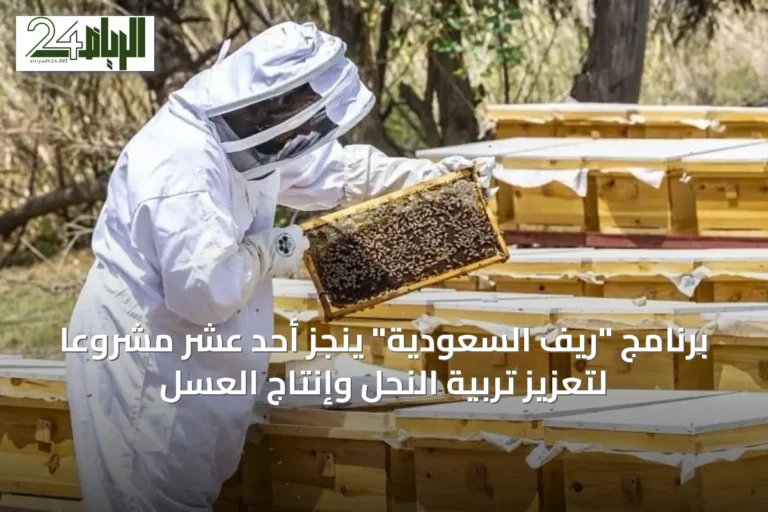 برنامج "ريف السعودية" ينجز أحد عشر مشروعًا لتعزيز تربية النحل وإنتاج العسل