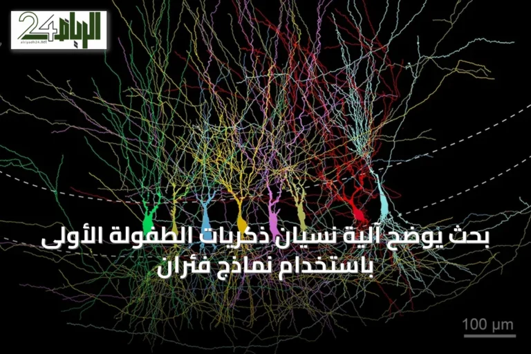 بحث يوضح آلية نسيان ذكريات الطفولة الأولى باستخدام نماذج فئران