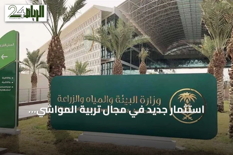 استثمار جديد في مجال تربية المواشي بمحافظة رفحاء