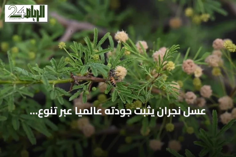 عسل نجران يثبت جودته عالمياً عبر تنوع المنتجات ودعم الحكومة