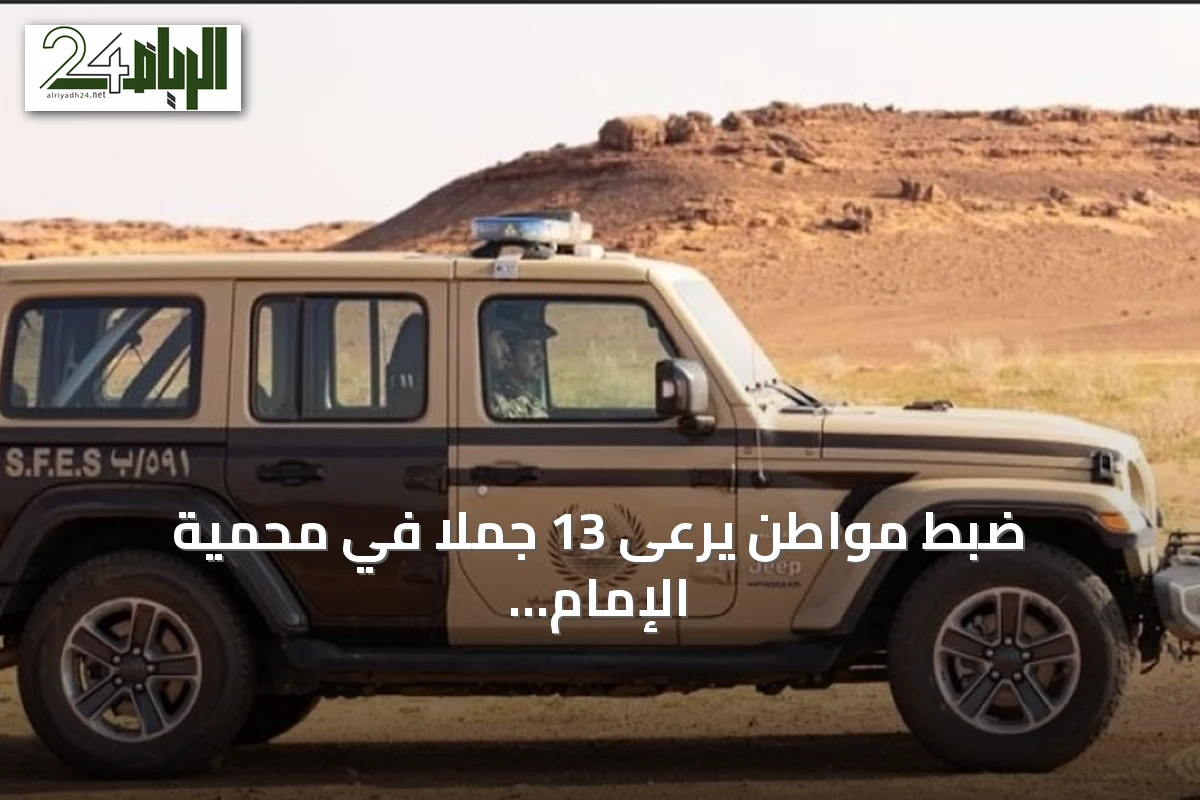ضبط مواطن يرعى 13 جملاً في محمية الإمام تركي بن Abdullah