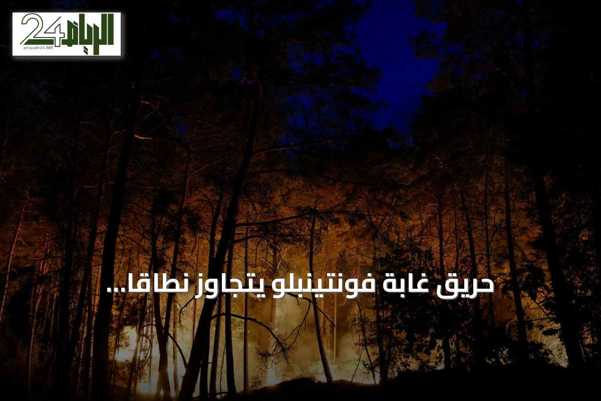 حريق غابة فونتينبلو يتجاوز نطاقاً استثنائياً ويهدد مناطق جنوب باريس