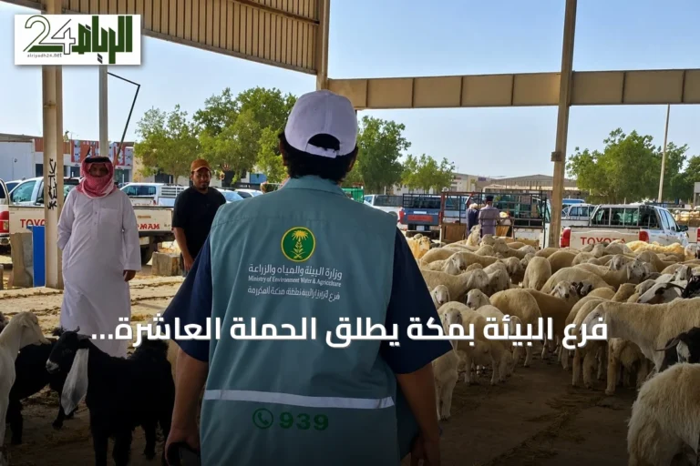 فرع البيئة بمكة يطلق الحملة العاشرة لمراقبة أسواق الماشية وتوعية المستهلك
