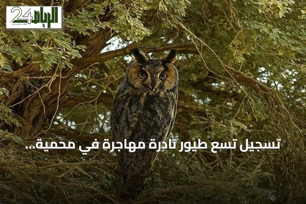 تسجيل تسع طيور نادرة مهاجرة في محمية الملك عبدالعزيز للمرة الأولى