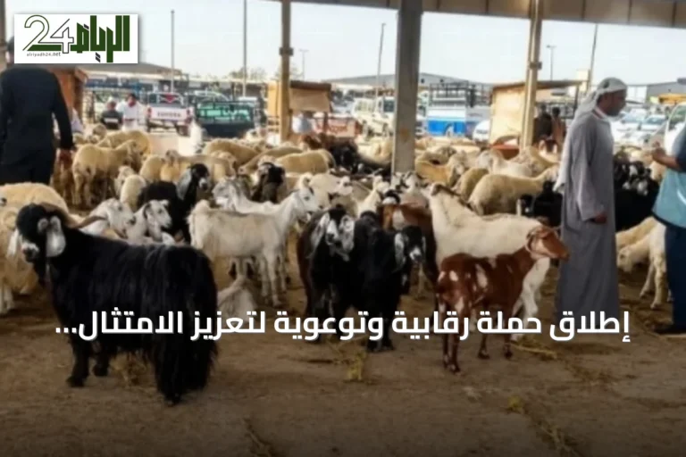 إطلاق حملة رقابية وتوعوية لتعزيز الامتثال بأسواق الماشية بمنطقة المدينة المنورة