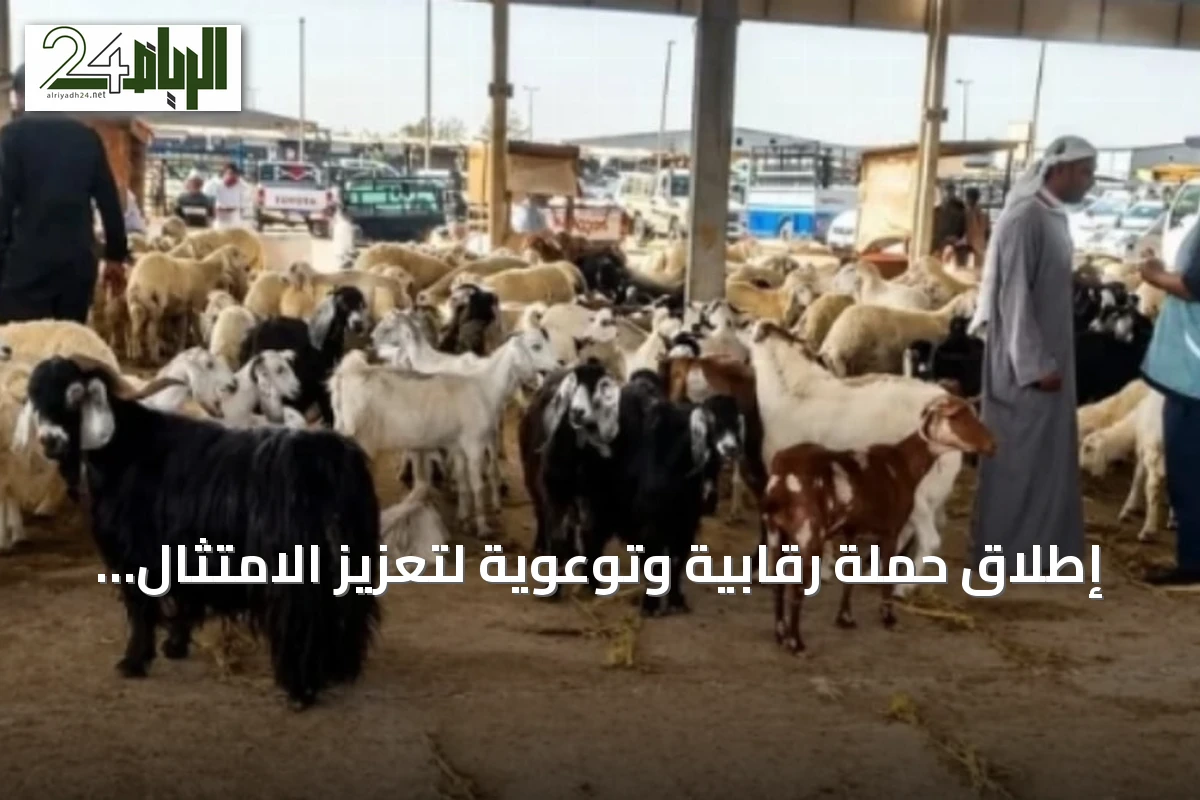 إطلاق حملة رقابية وتوعوية لتعزيز الامتثال بأسواق الماشية بمنطقة المدينة المنورة